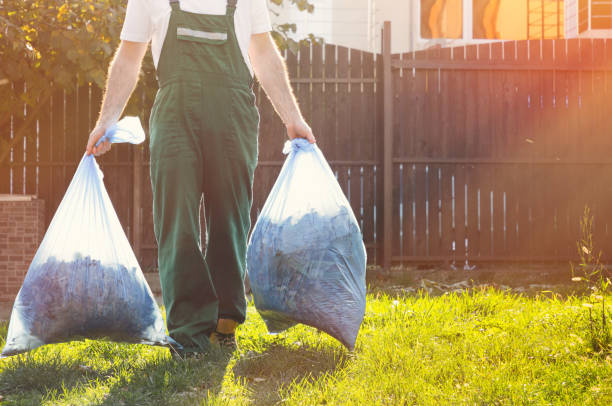 Best Local Junk Hauling  in Roseville, OH