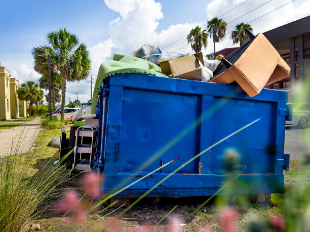 Best Affordable Junk Removal Services  in Roseville, OH
